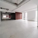 Apartment Old Forum *