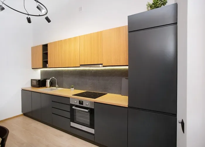 Old Forum Apartment Lemberg